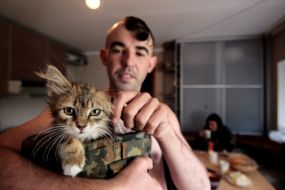 Military holding kitten