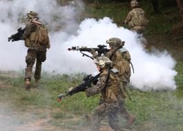 Rapid Trident/Saber Guardian 