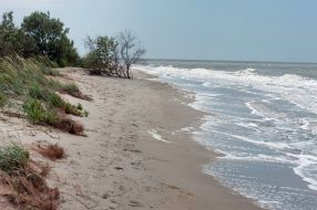 Бердянская коса