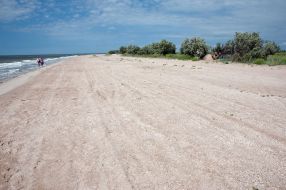 Бердянская коса