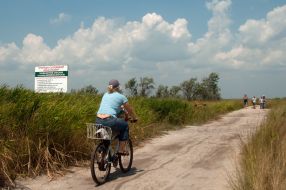 Женщина едет на велосипеде
