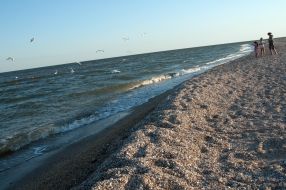 Бердянская коса