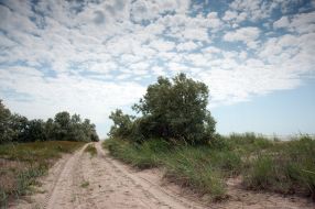 Бердянская коса