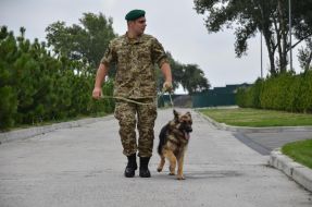 Кинолог с собакой