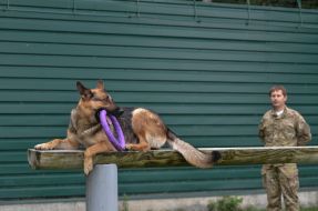 Николай Гарус с собакой