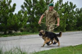 Кинолог с собакой