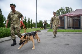 Кинологи с собакой