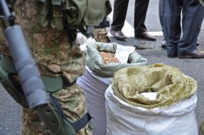Law enforcers seized near bags of amber