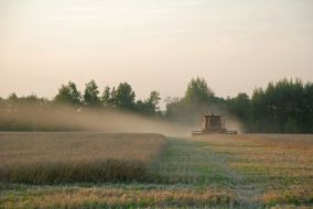 Grain Harvest