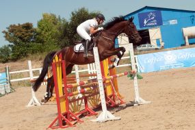 Соревнования по конному спорту 