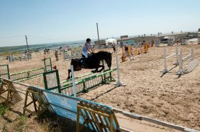 Соревнования по конному спорту 