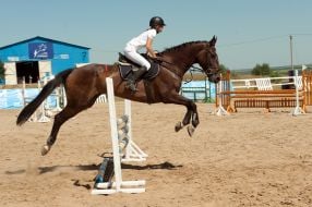 Соревнования по конному спорту 