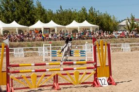 Соревнования по конному спорту 