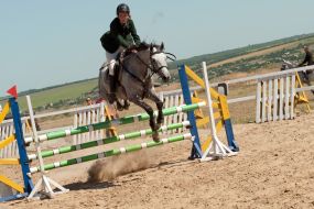 Соревнования по конному спорту 