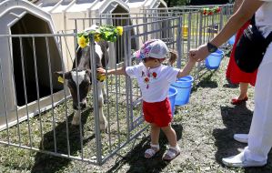 Festival "Milk Day"