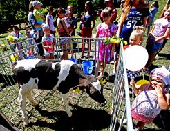Festival "Milk Day"