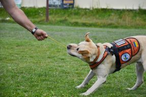 The presentation of the project "Friend of Hero"