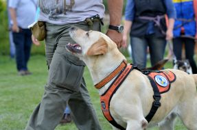 The presentation of the project "Friend of Hero"