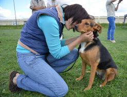 The presentation of the project "Friend of Hero"