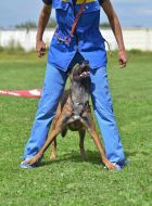 The presentation of the project "Friend of Hero"