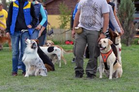 The presentation of the project "Friend of Hero"