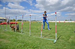 The presentation of the project "Friend of Hero"