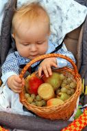 A boy examines a basket with fruits