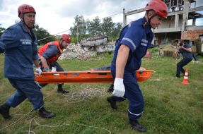 Interregional Center Rapid Response State emergency services