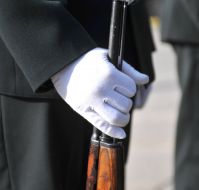 Celebrating the Day of the National Flag