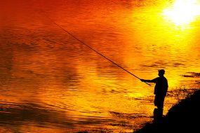 A man fishing on the river