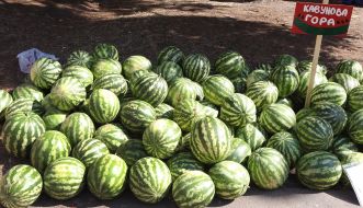 Watermelons