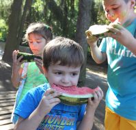 Children eating watermelon