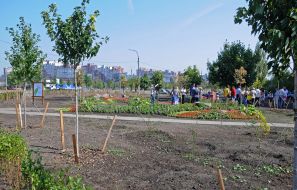 Новый сквер в Днепровском районе Киева