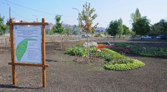 Новый сквер в Днепровском районе Киева