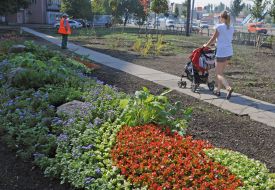 Новый сквер в Днепровском районе Киева
