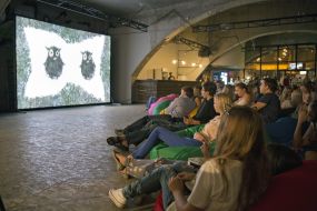 Watch a movie "Owl gentle"