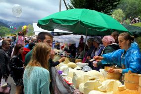 Commercial sheep cheese and sheep cheese