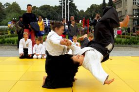 The demonstrations of Aikido