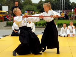 The demonstrations of Aikido