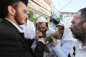 Hasidim in Uman
