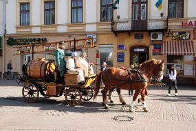 exhibit Fire and Rescue Service
