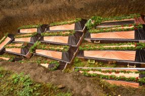 Перезахоронение останков жертв НКВД