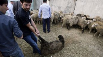 Святкування Курбан-байраму