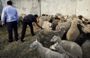 Святкування Курбан-байраму