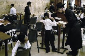 Hasidim pray near the Western Wall