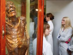 The mummified body