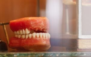 Jaw model