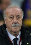 Vicente del Bosque