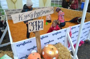 Дети в кукурузном бассейне