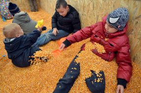 Дети в кукурузном бассейне